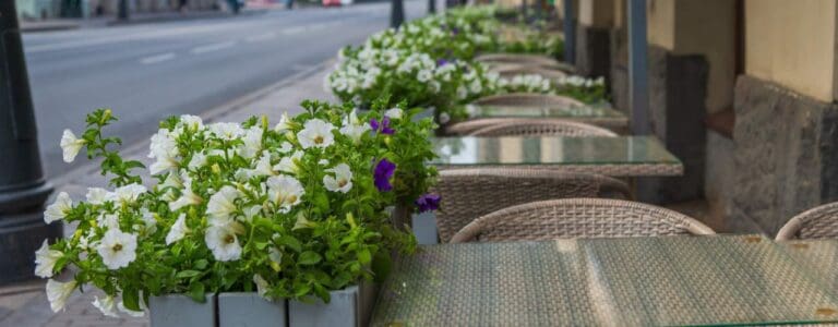 Welcoming outdoor seating area with barriers
